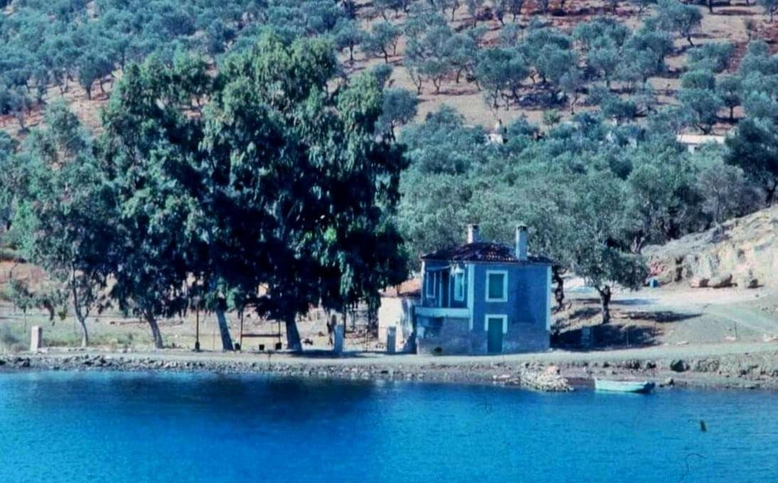 The house Evangelinos built on the Gulf of Gera on Lesvos with the four eucalyptous trees he planted in front of it, one for each of his children.