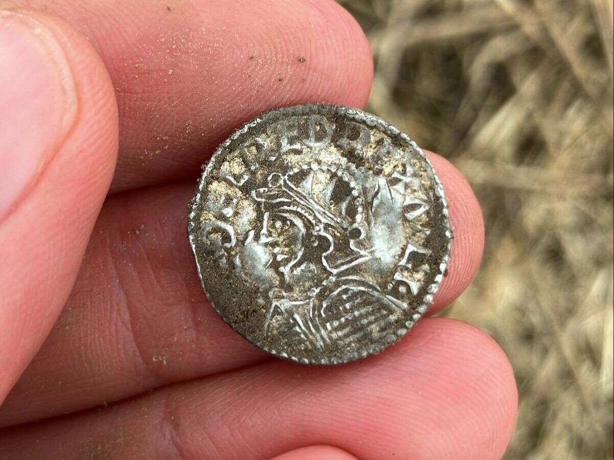 Record Viking Coin Hoard of Nearly 3,000 Pieces Found in Norway