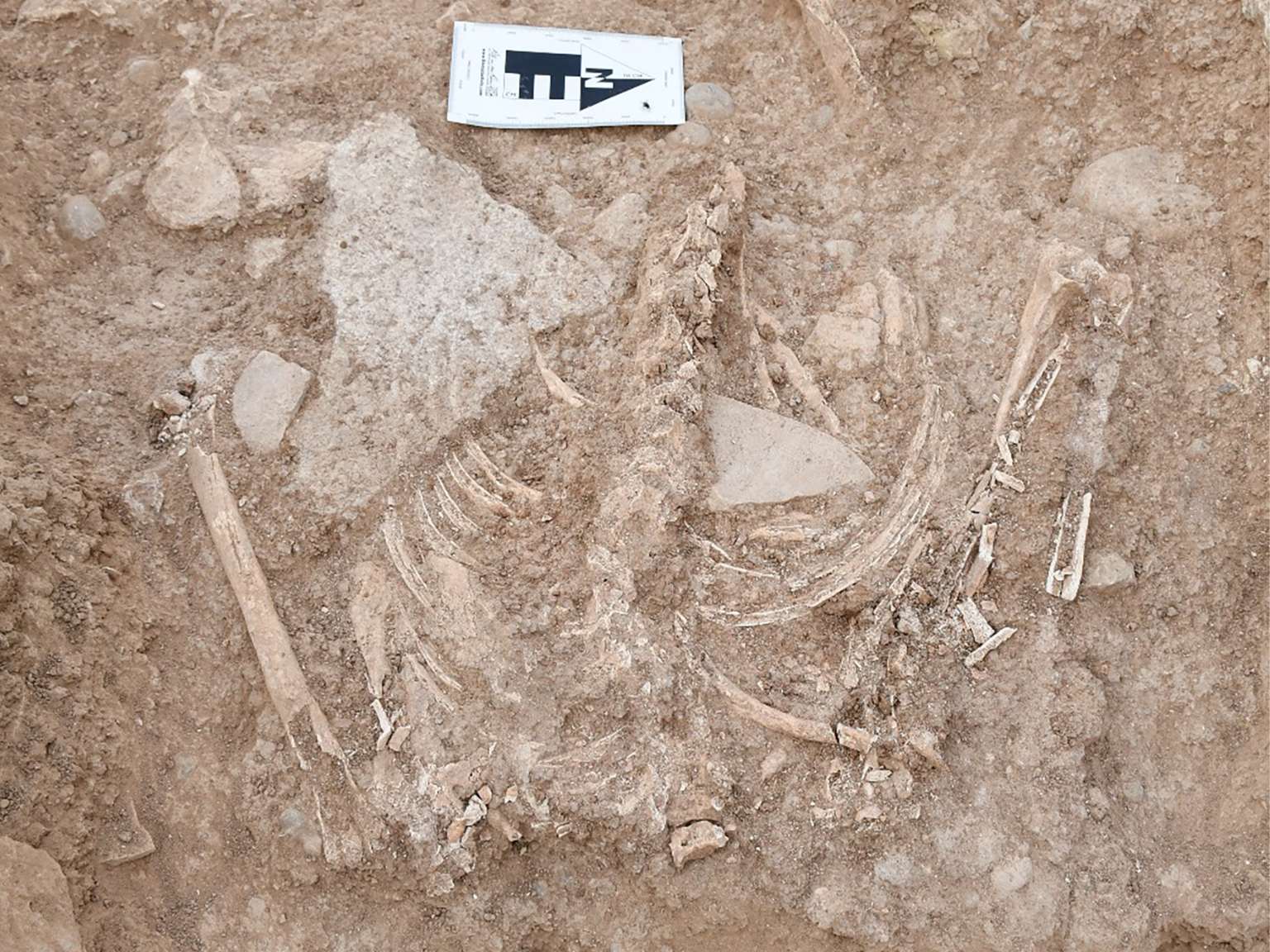 An individual skeleton found in ancient Nineveh
