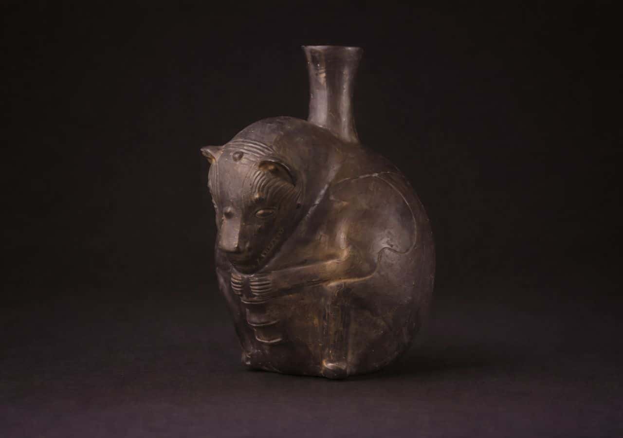 Archaeologists Find First Physical Evidence of Hairless Dogs in Ancient Peru