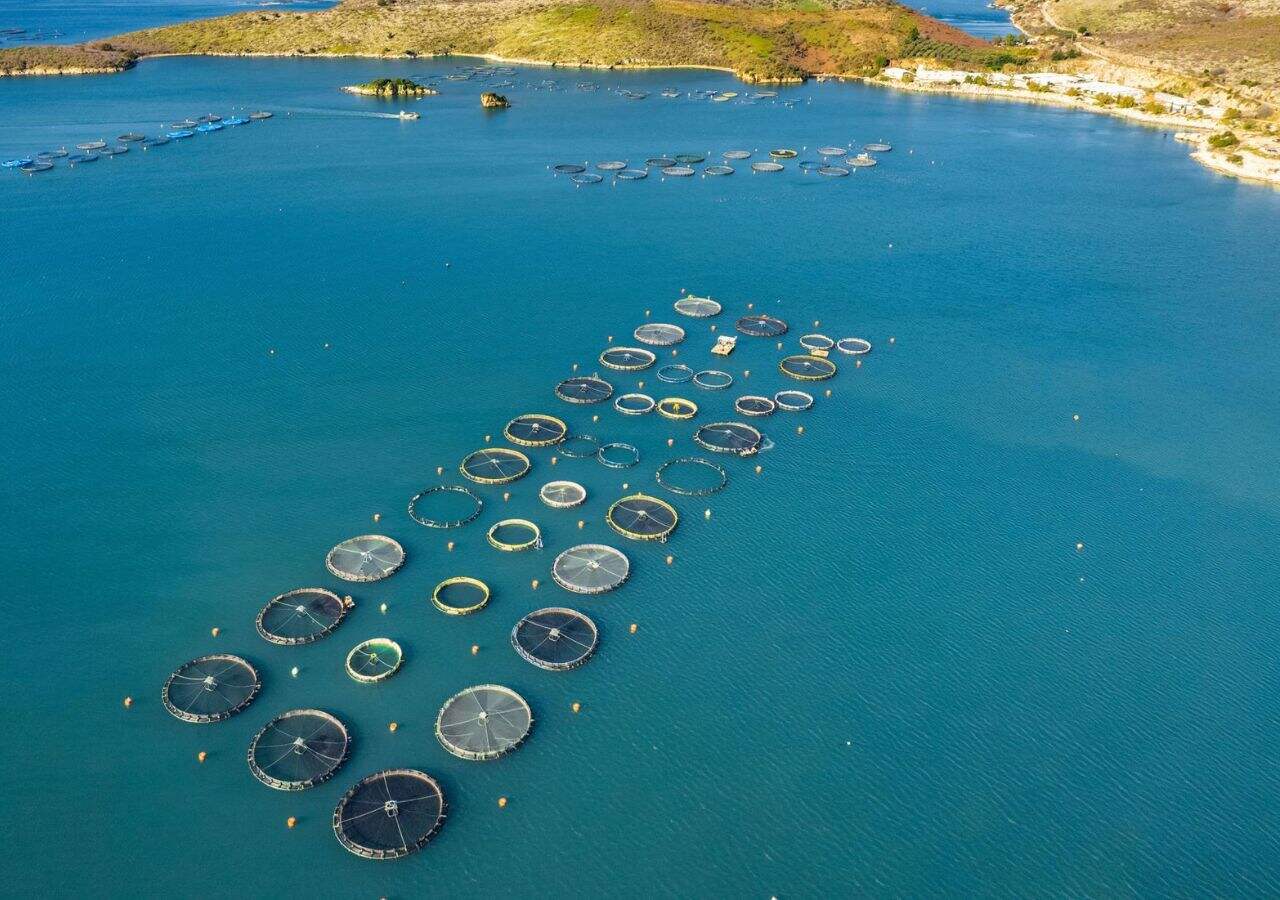 Aquaculture in Greece