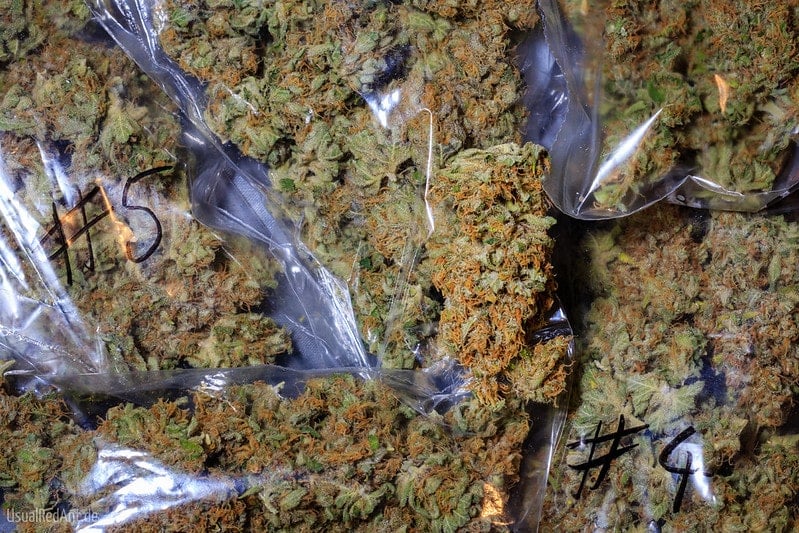 22 Buddhist Monks Caught With 240 Pounds of Cannabis at Sri Lanka Airport