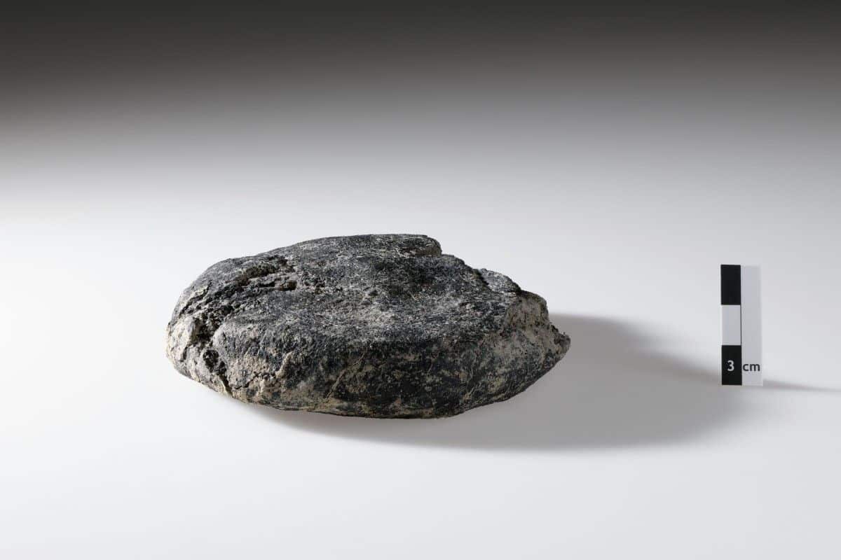 2,000-Year-Old Bread Found at Roman Military Camp in Switzerland