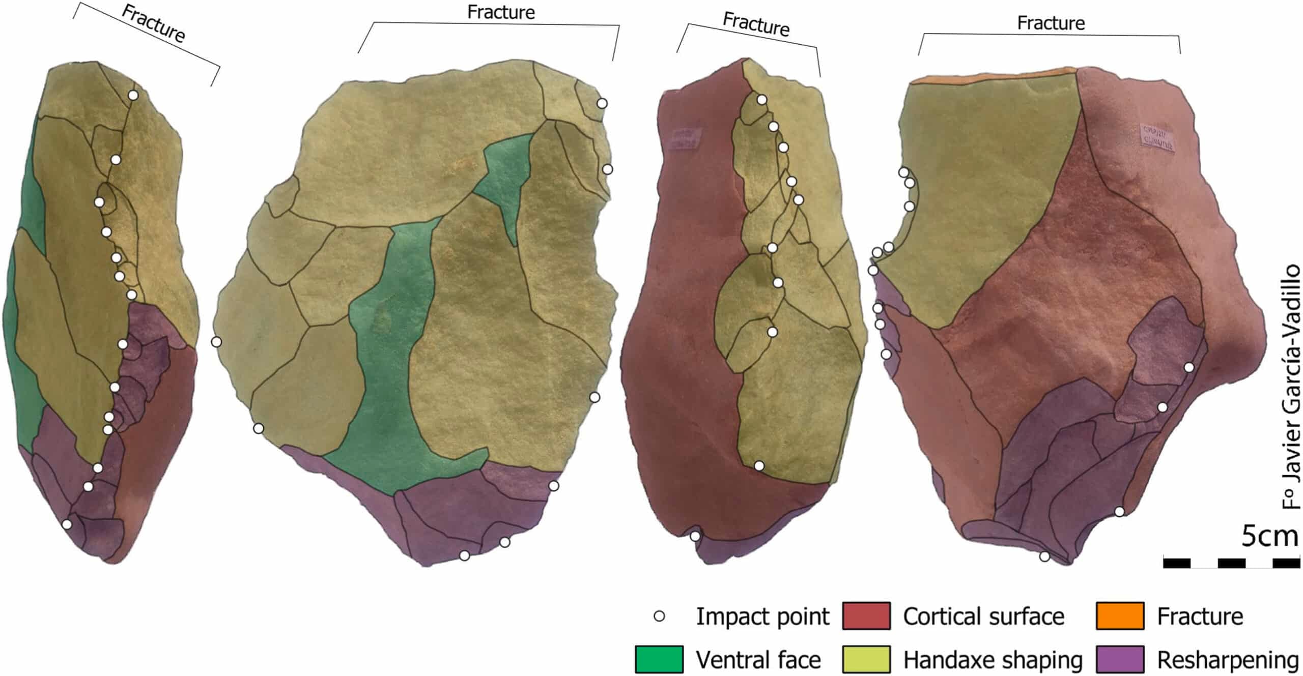 Diagram of a handaxe showing distal fracture