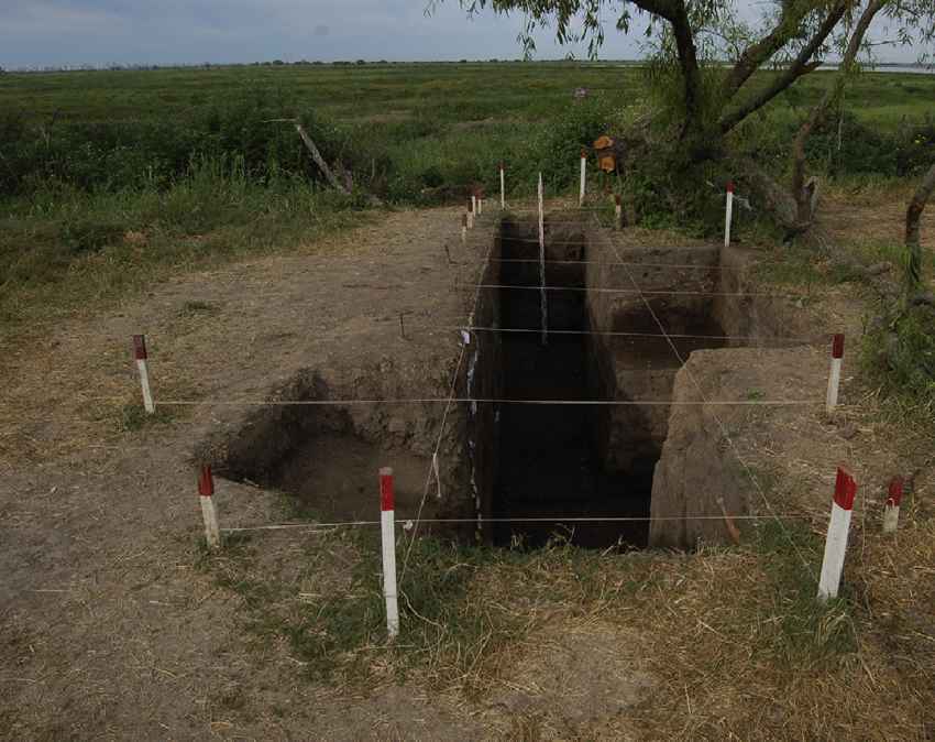 DNA Study Decodes 6,000 Years of Human History in South America