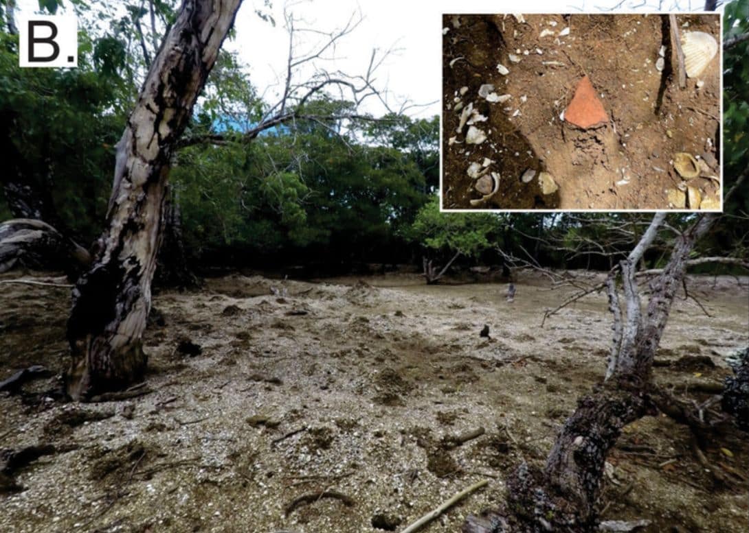 General view of the surface of the Culasawani shell island