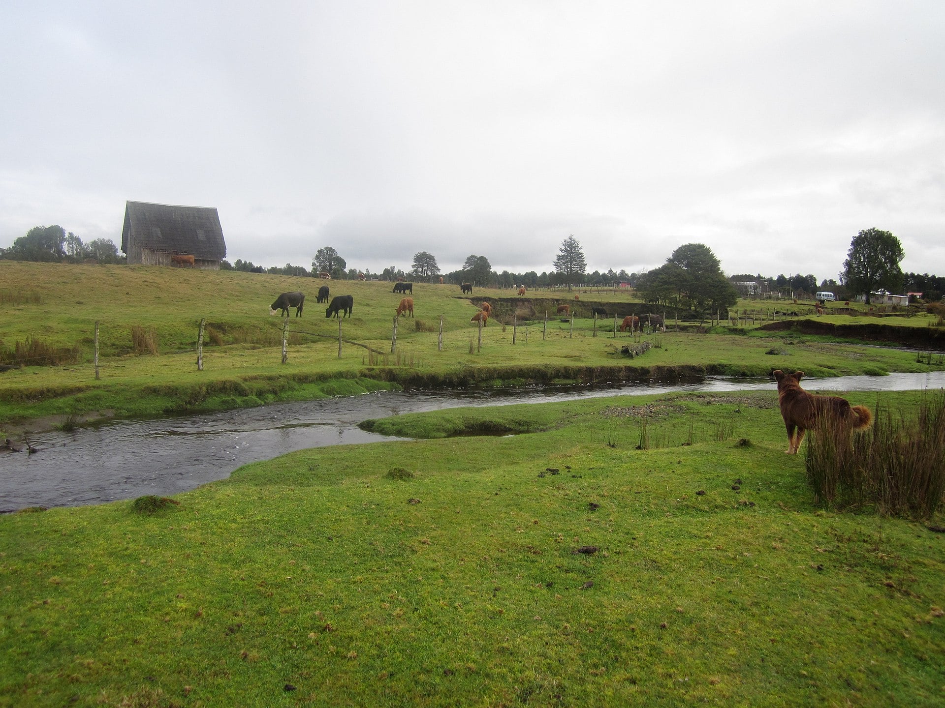 Monte Verde archaeological site in Chile