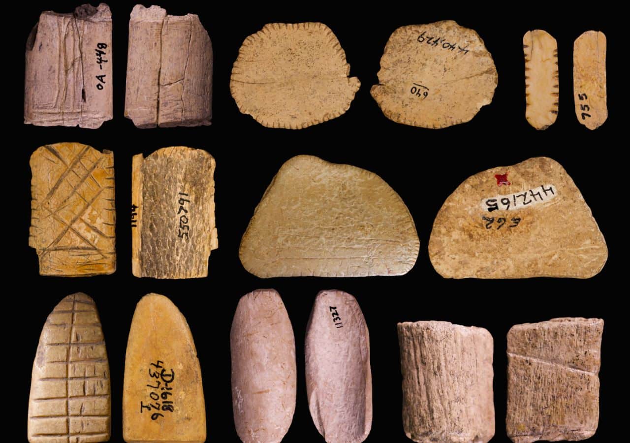 Native Americans Created the World’s First Dice 12,000 Years Ago, Study Reveals