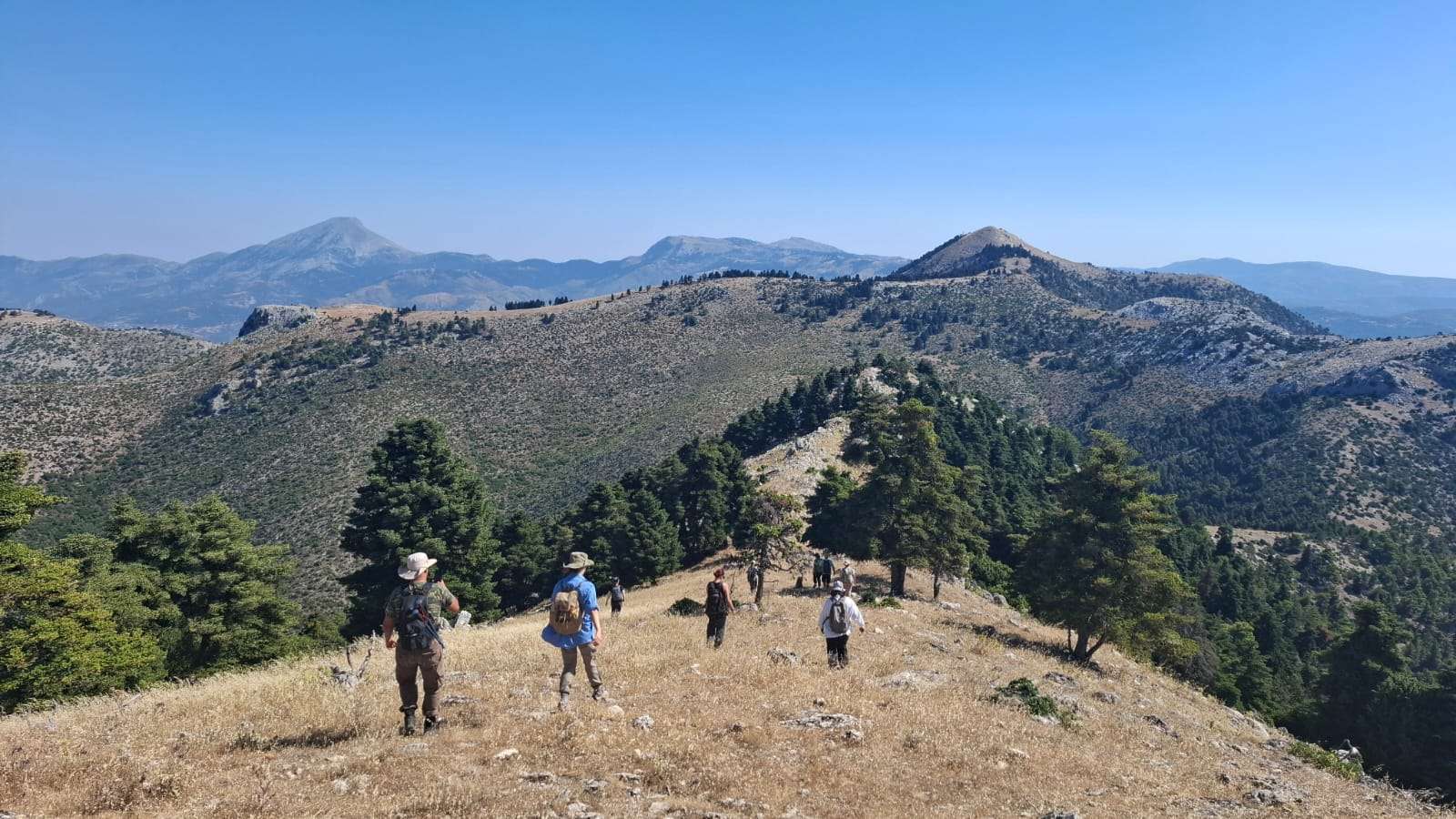 Discovery of 200 Structures Near Eretria in Greece Reveals Thousands of Years of Continuous Human Activity