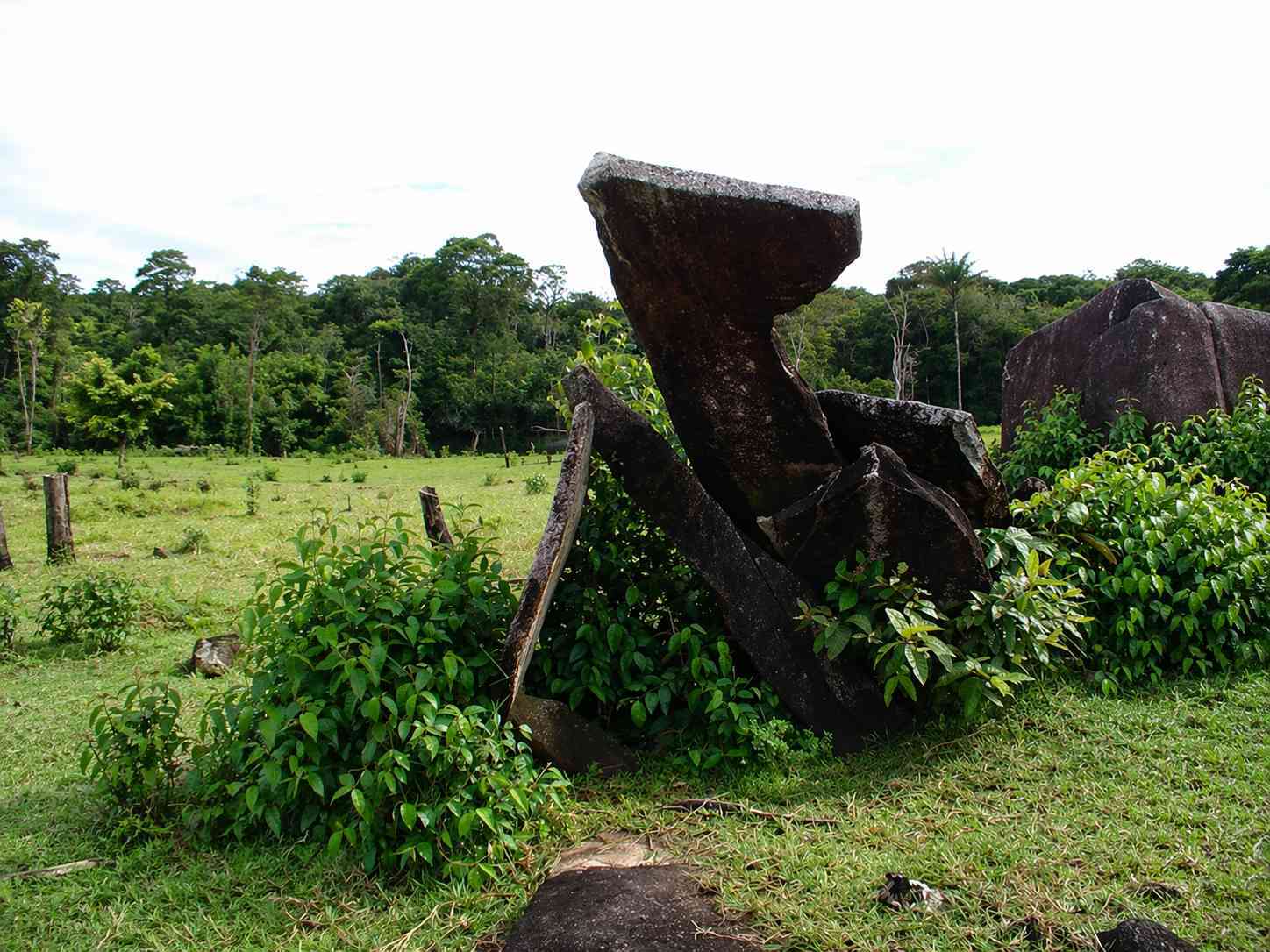 Archaeologists Find Artifacts of Amazon’s Indigenous Inhabitants Before Colonization