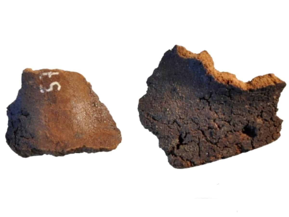 Ancient Warrior Tomb in Italy Reveals Elites Accessing Mediterranean Luxury Trade