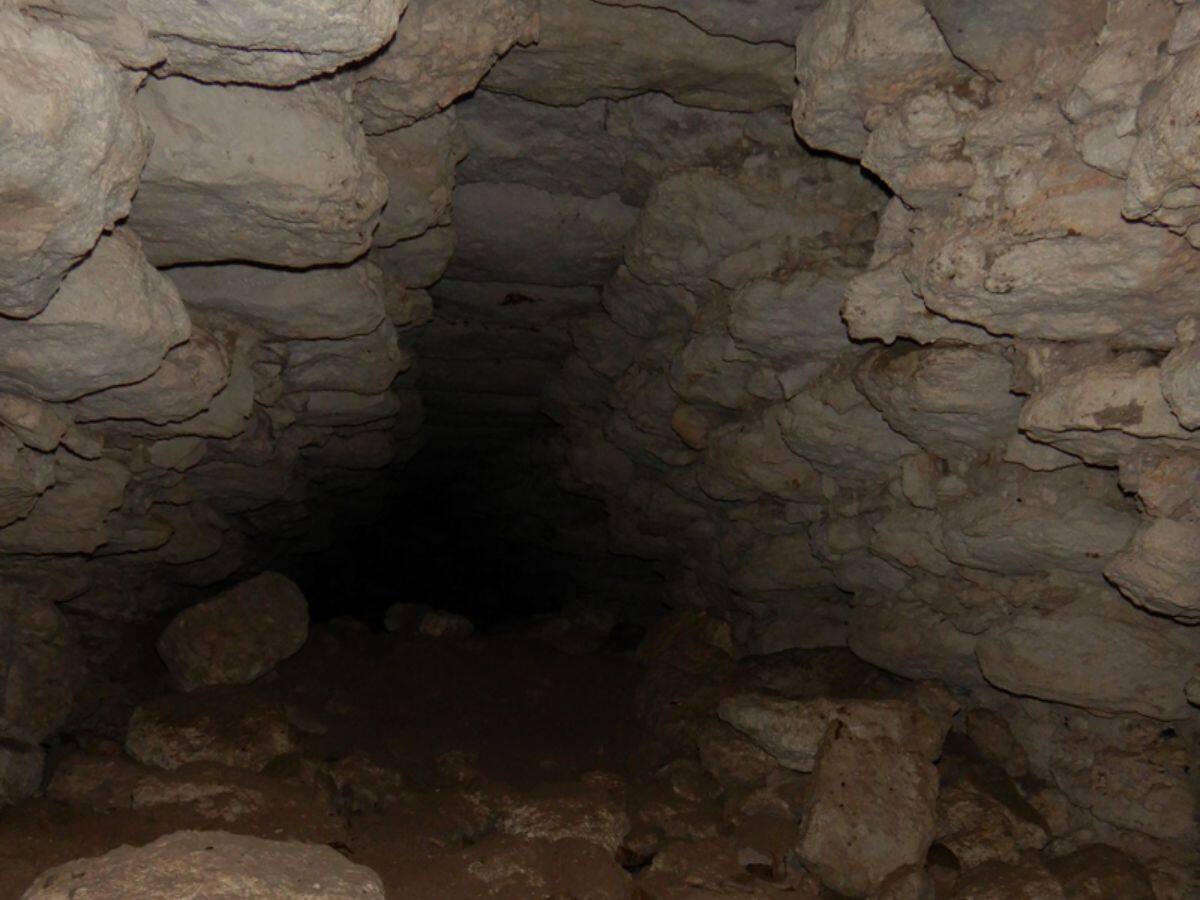 Well-preserved Mayan vaults were identified inside some buildings
