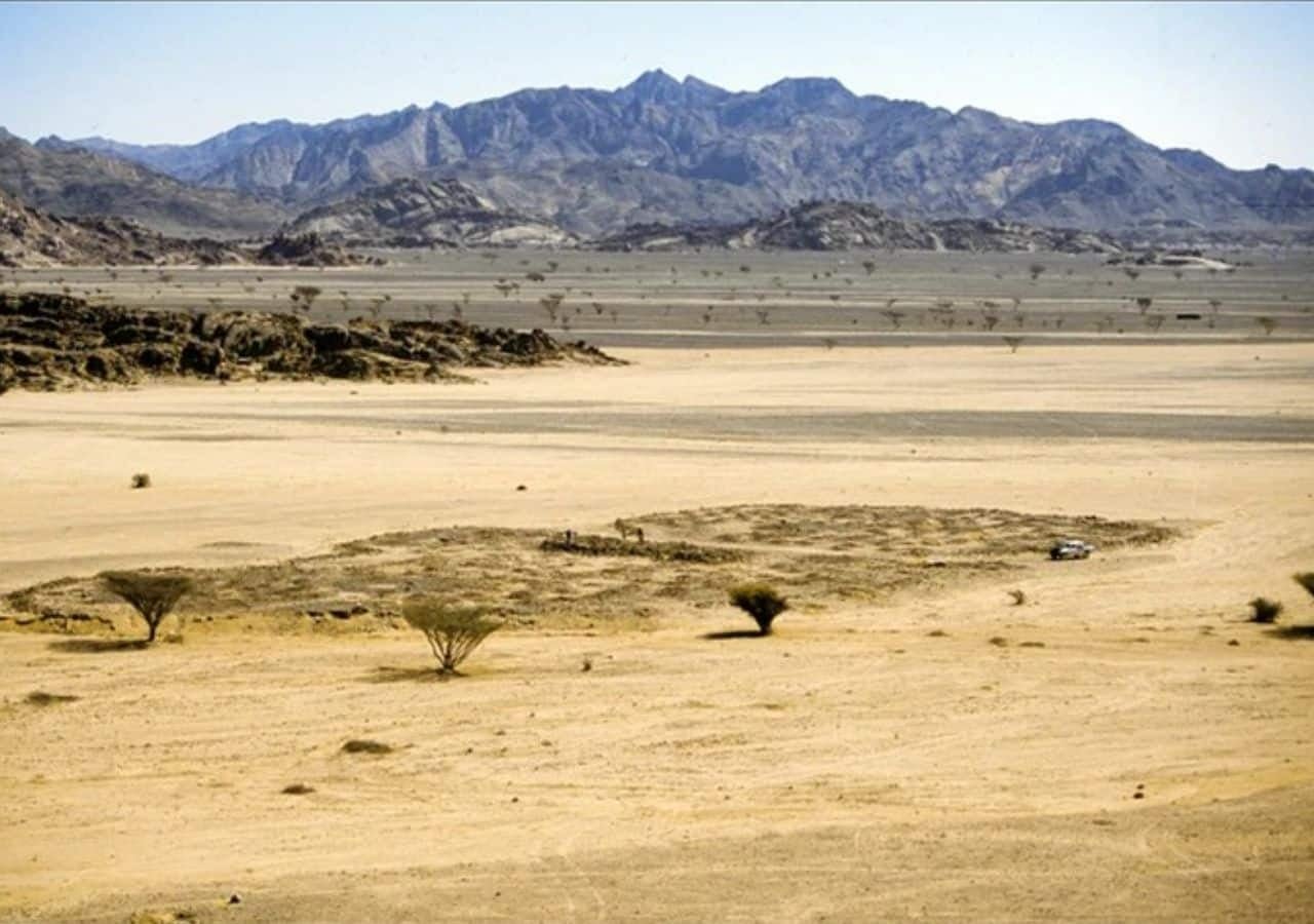 6,000-Year-Old Stone Circles Buried in Sudan’s Desert Reveal Ancient Cattle Culture