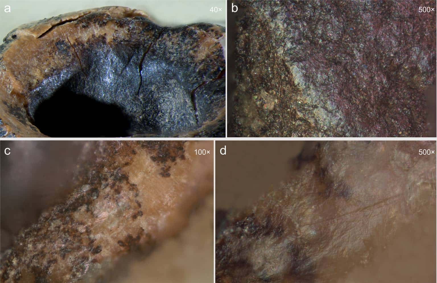 Earliest evidence for invasive mitigation of dental caries by Neanderthals