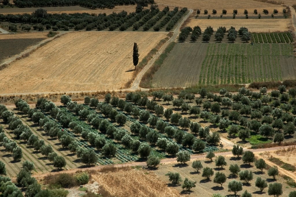 Farming in the valley of Messara, Crete, Greece