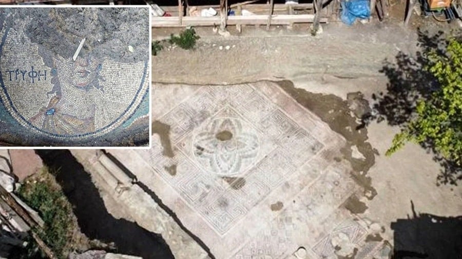 Tryphe mosaic