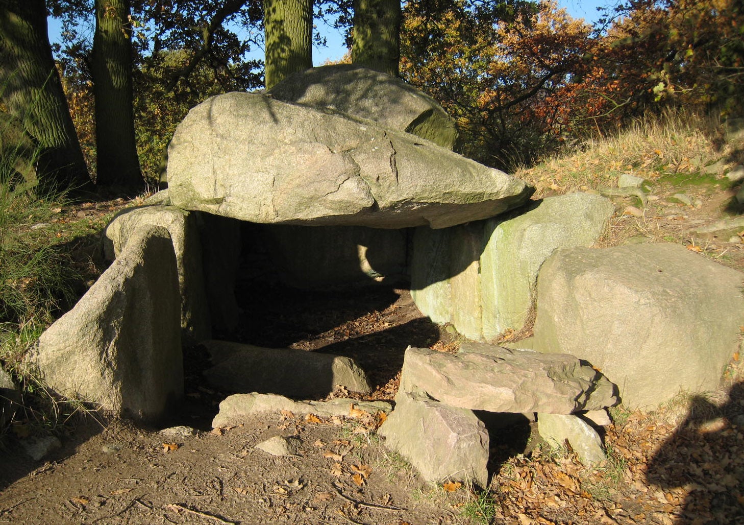 Archaeologists Reveal Vast Prehistoric Community Hidden Beneath Northern Germany