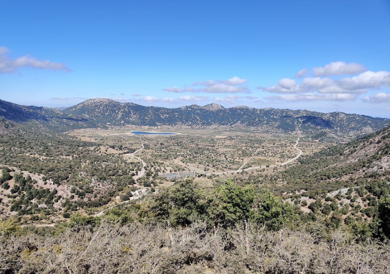 Type-locality of P. papaleonei sp. nov. (Greece, Crete, Omalos plateau)