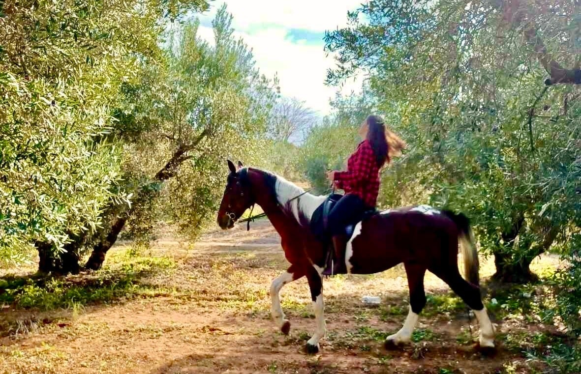 Women Olive Farmers Greece
