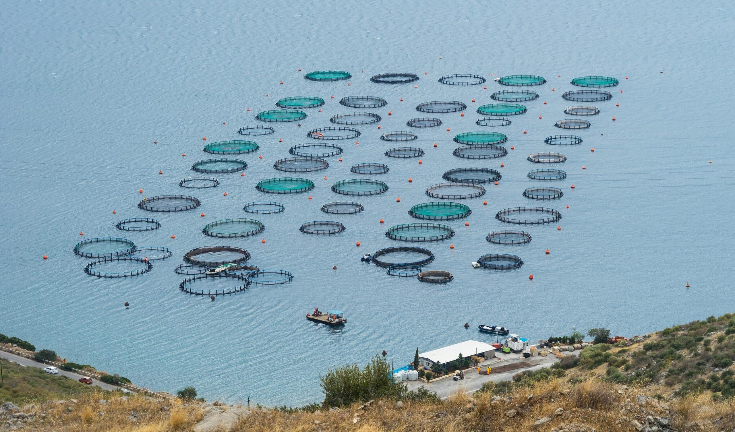 Greece Invests €131M in Aquaculture as Abandoned Fish Farms Raise Alarm