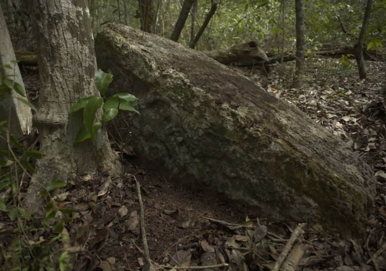 Mayan city north of the Calakmul Biosphere Reserve