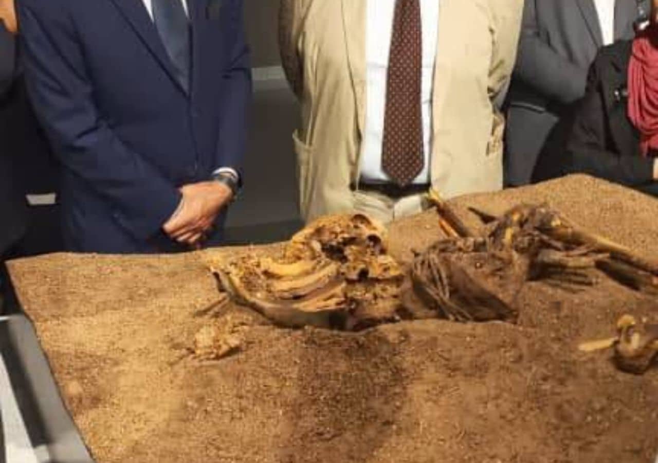 Prehistoric mummy returned to Libya