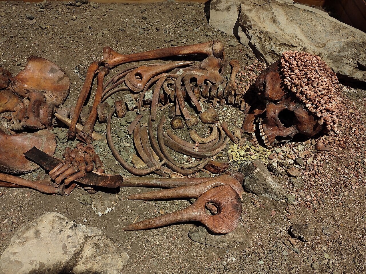 The remains of the Prince of the White Sands are in the archaeological museum of Pegli