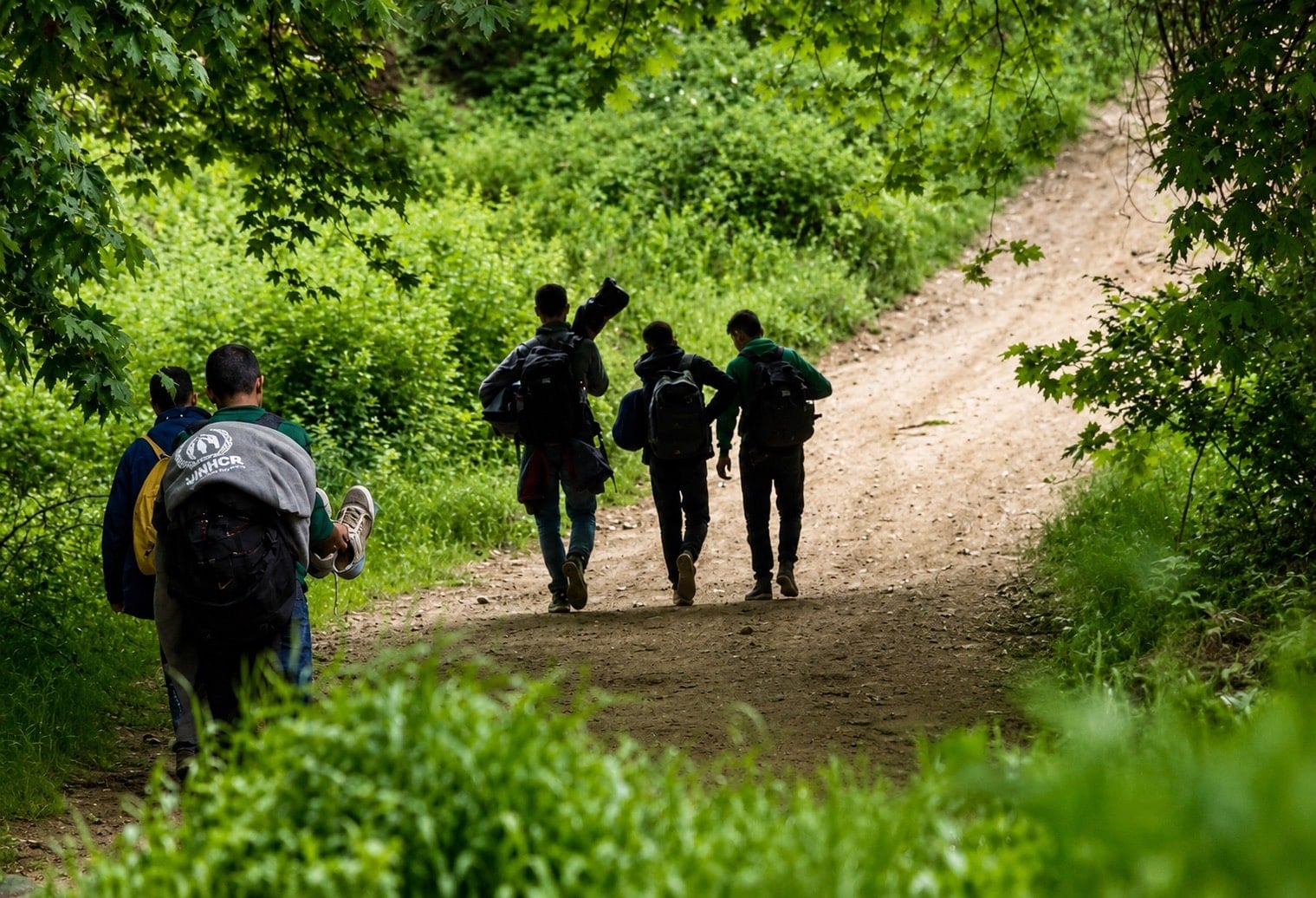 Refugees and asylum seekers walk along a forest path near the Greece–North Macedonia border.