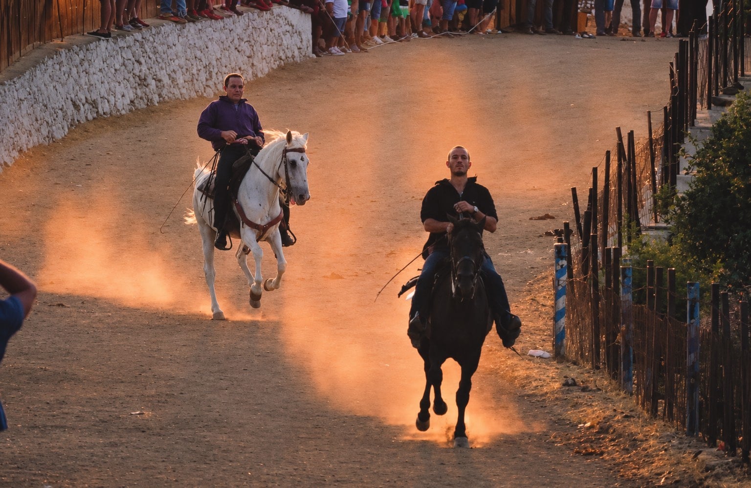 Agia Paraskevi bull festival Lesbos, Greece, Photo supplied / Agia Paraskevi Agricultural Association "I Proodos"