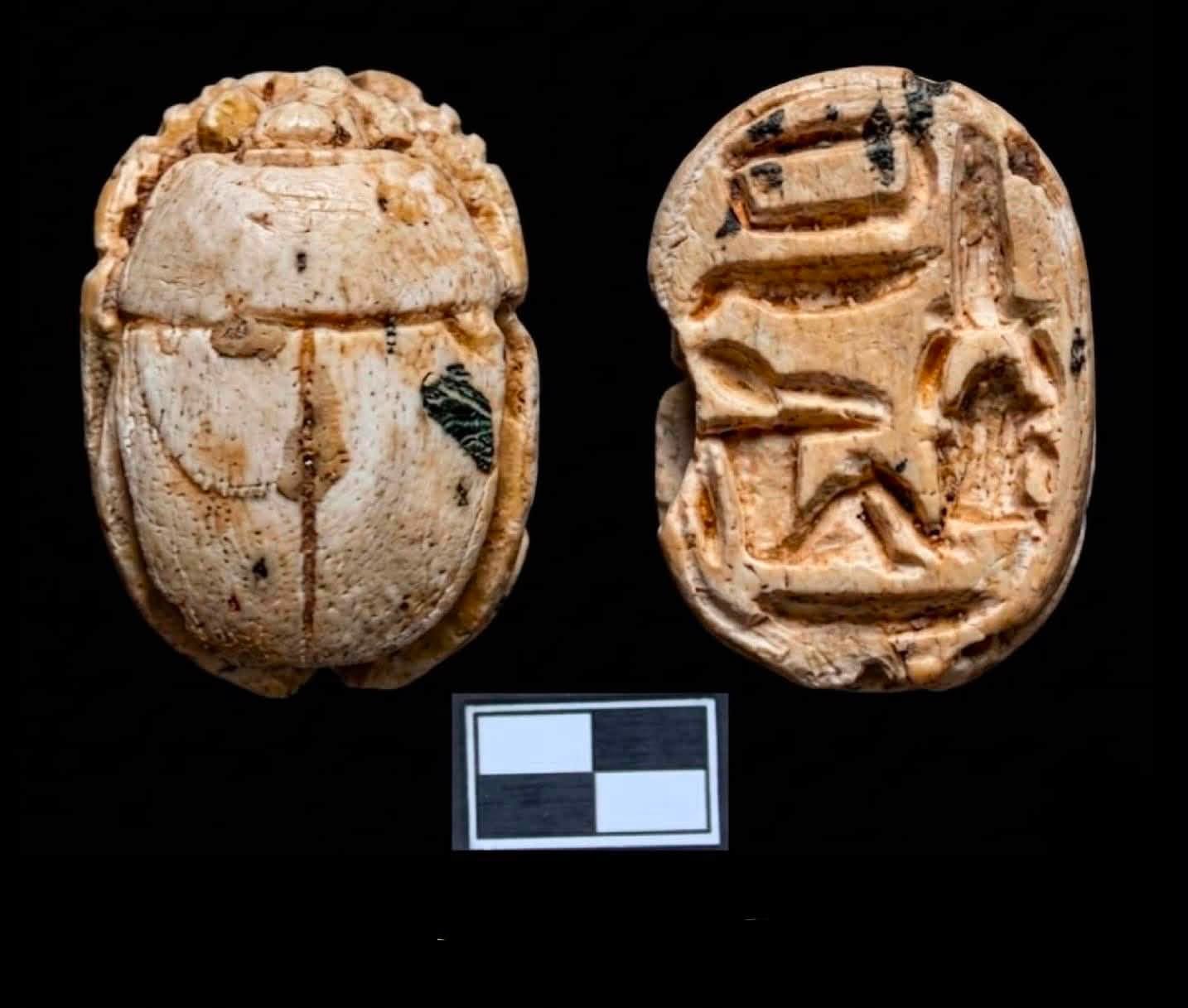 An inscribed scarab unearthed at Tell El-Deir