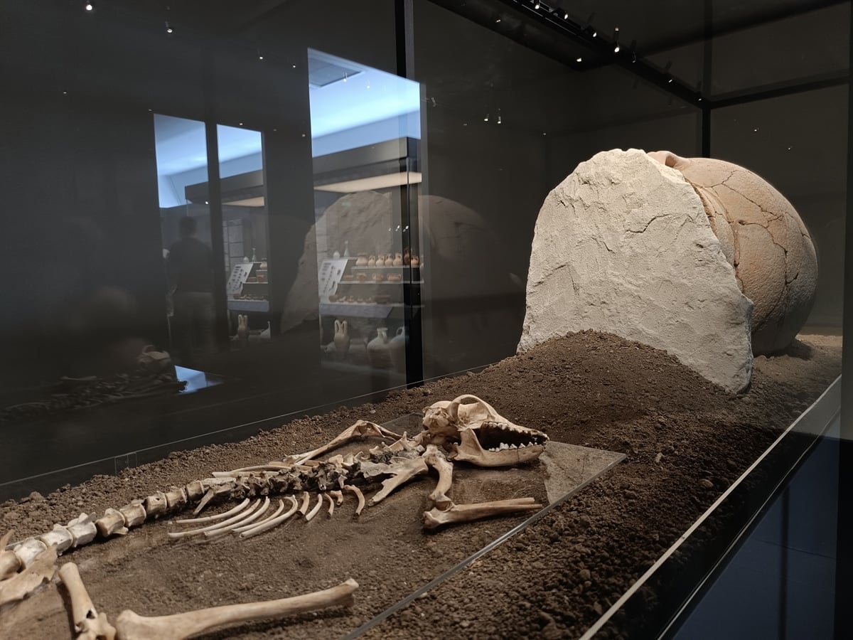 Boy dog burial Crete