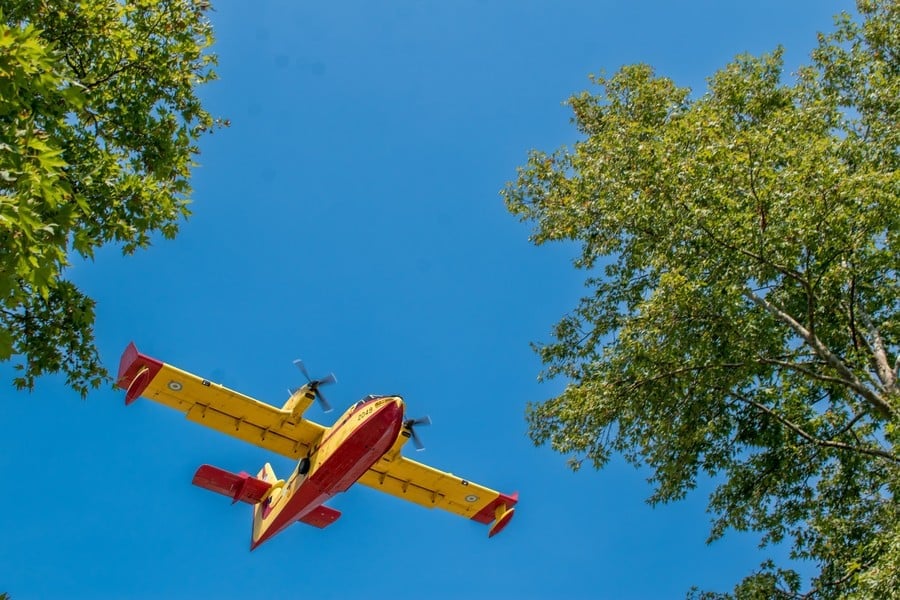 Canadair firefighting aircraft flying above trees in Greece