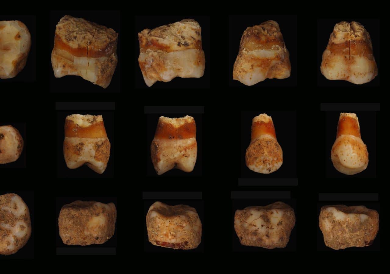 Human fossil remains of Üçağızlı II Cave