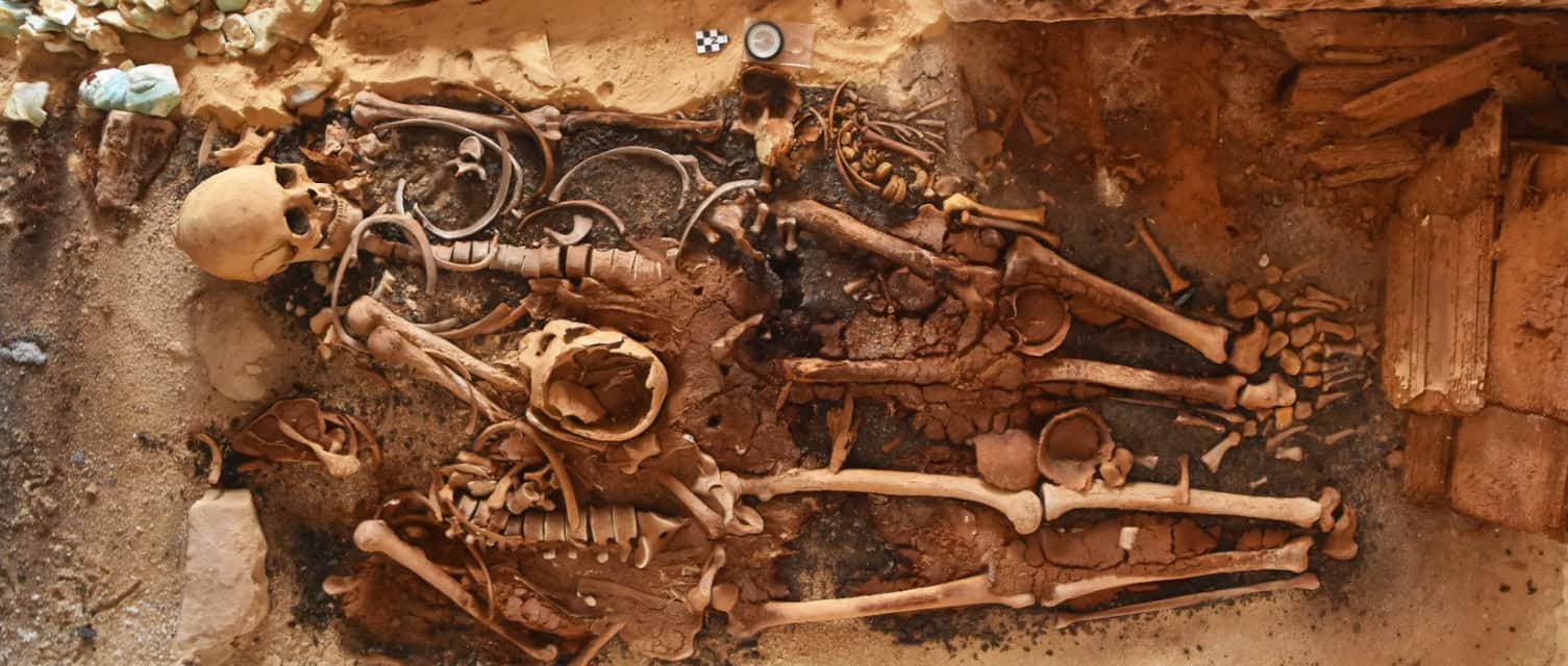 Human skeletal remains uncovered during excavations at Marina El Alamein