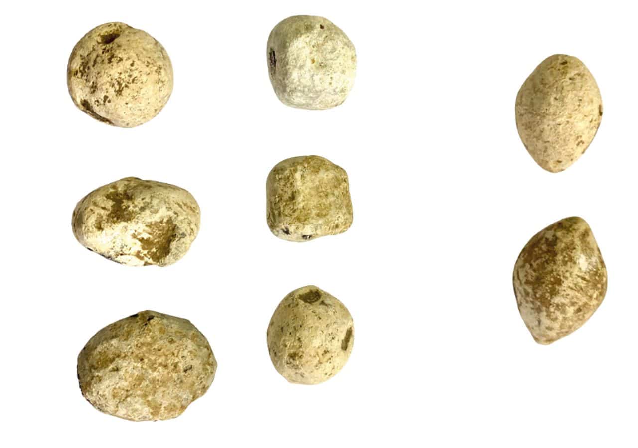 Lead sling bullets from legacy investigations at Ambleside