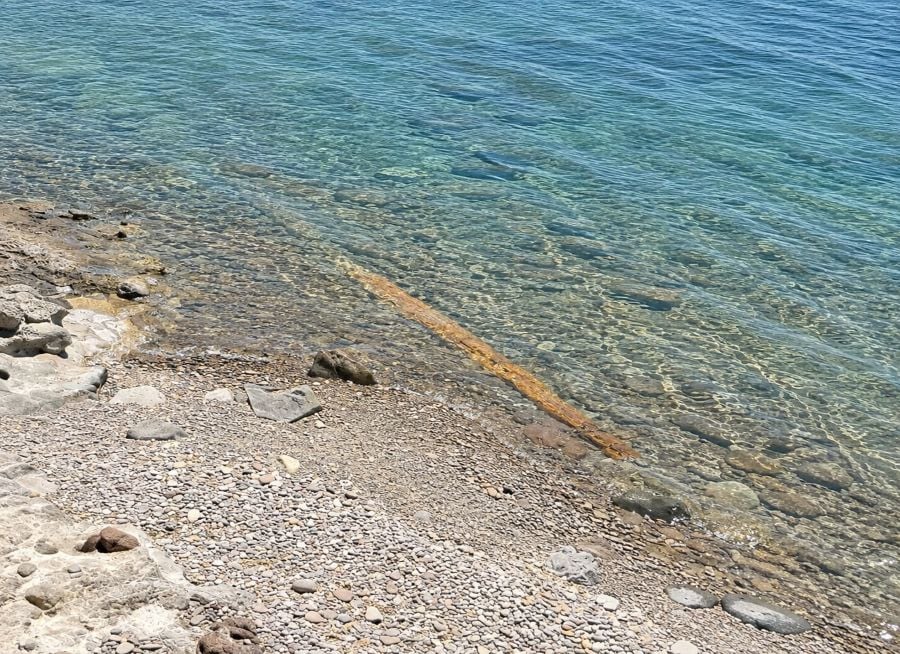 A fossilized tree trunk visible along the coast of western Lesvos.