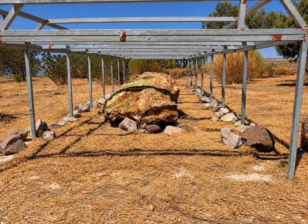 Large petrified tree remains preserved at the Lesvos Petrified Forest.
