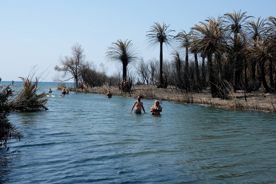 Preveli Palm Forest Crete