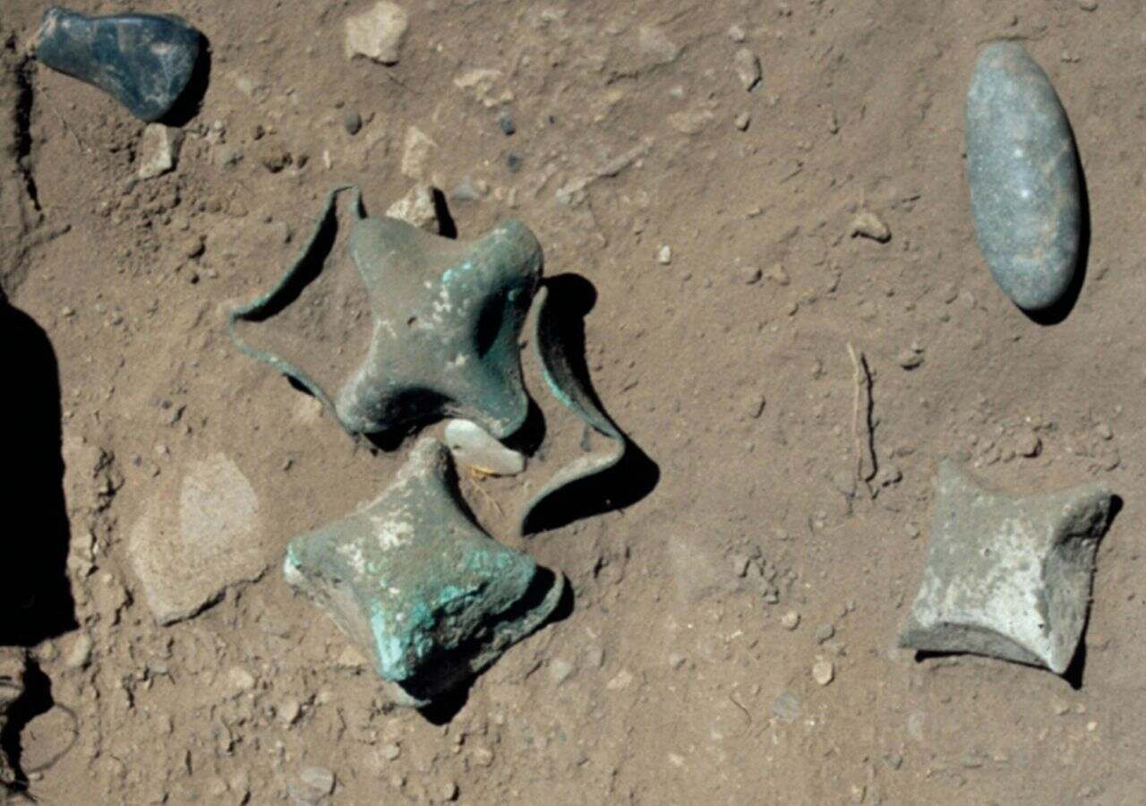 The ritual offering from Inca