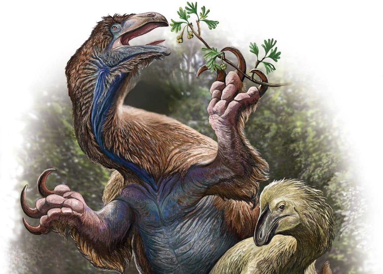 Life reconstruction of Jehol therizinosaurians