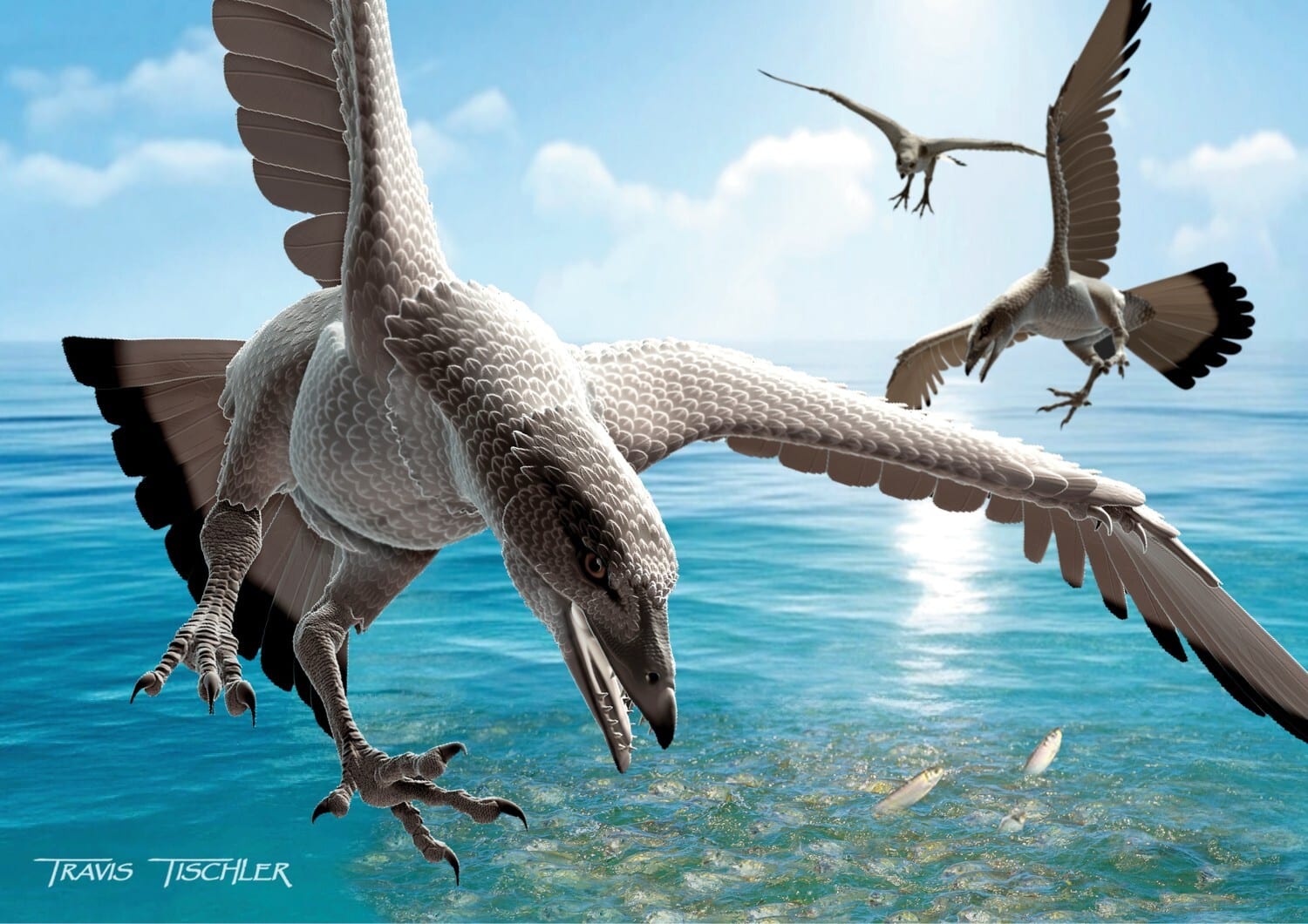 Life restoration of Tenuicruris piscanexum