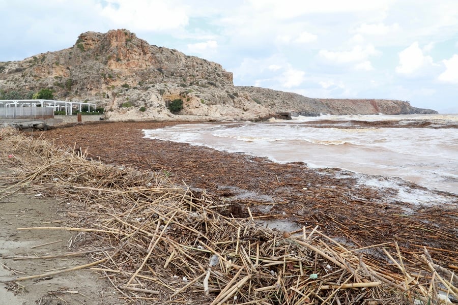 a beach near Heraklion Crete covered by driftwood after torrential rain