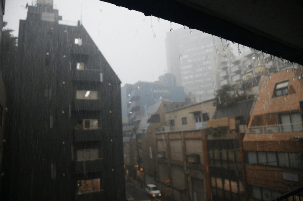 Tokyio Japan rainfall