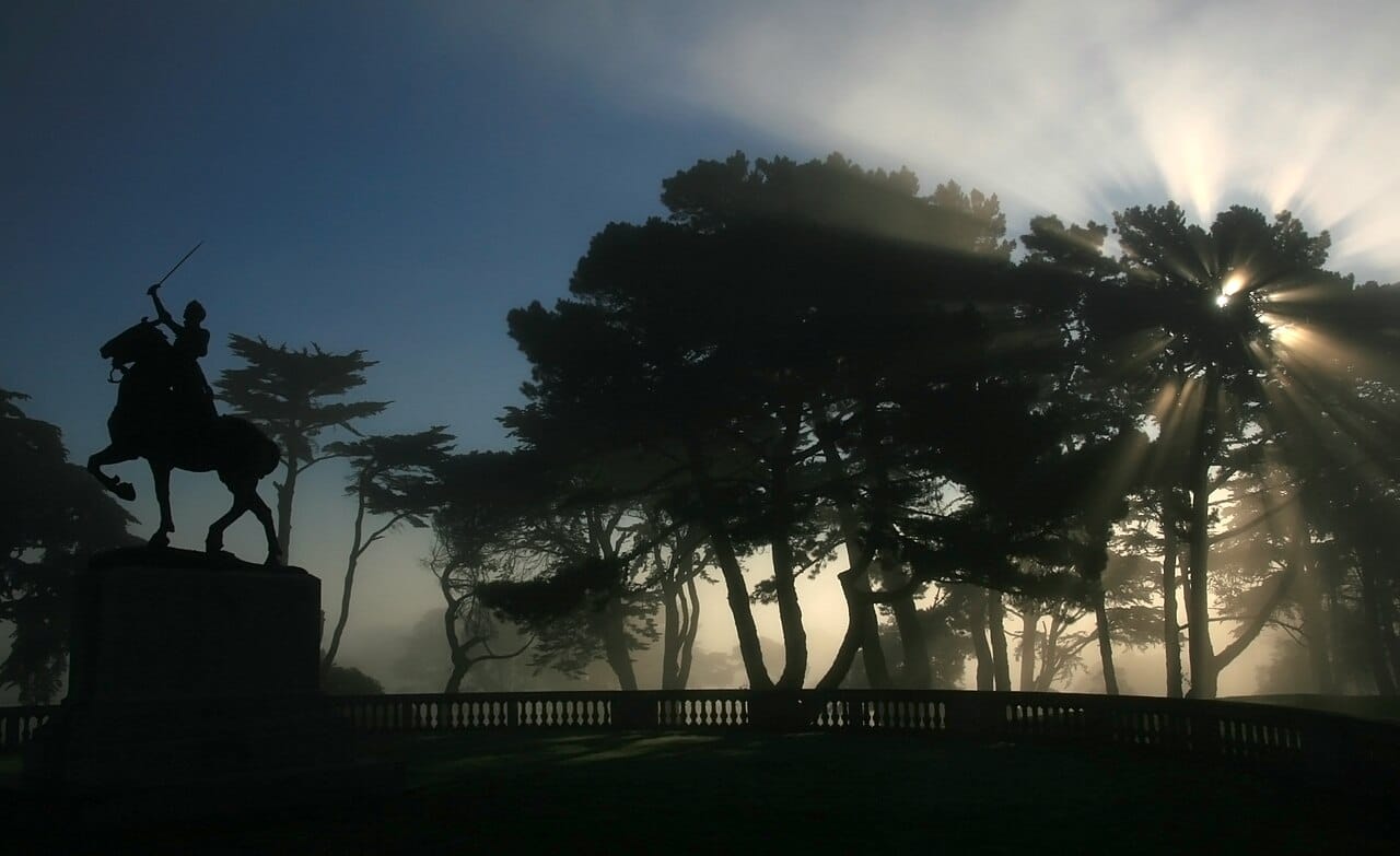 A silhouetted scene against the morning sun