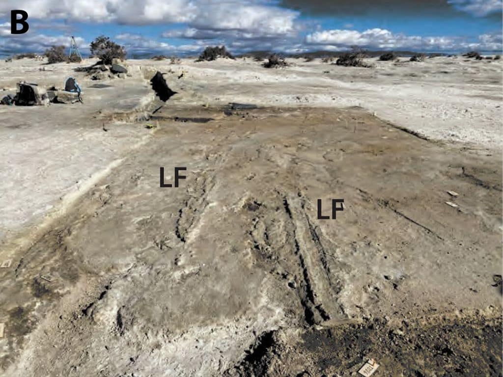 Ancient marks at White Sands National Park suggest early humans dragged wooden transport devices to carry resources during the last Ice Age