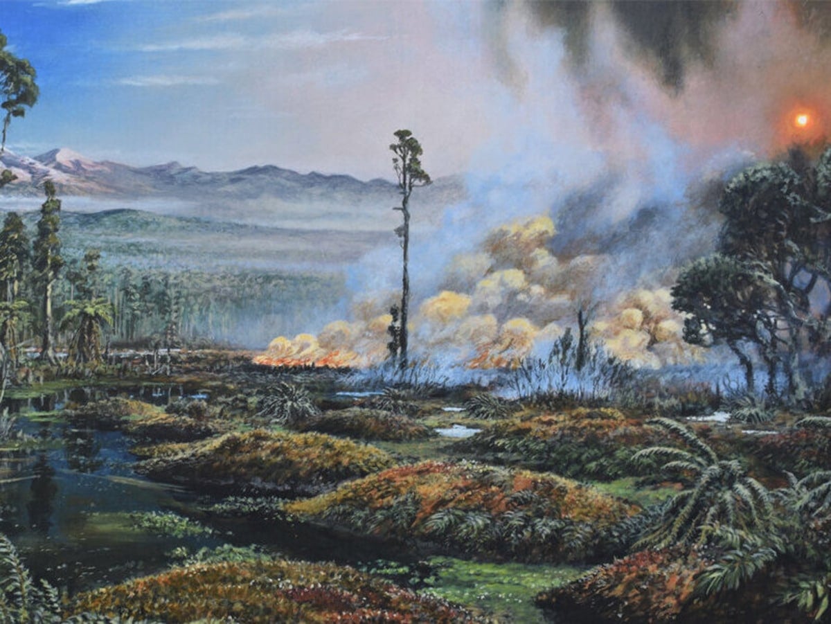 Artistic representation of seasonal fires in fern-rich peat bogs and temperate rainforests in West Antarctica during the Late Cretaceous period