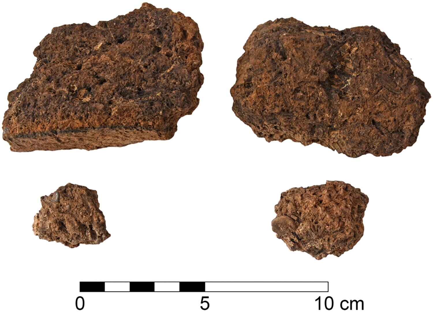 Fragments of a clay container discovered in Tomb UU at Hala Sultan Tekke, Cyprus