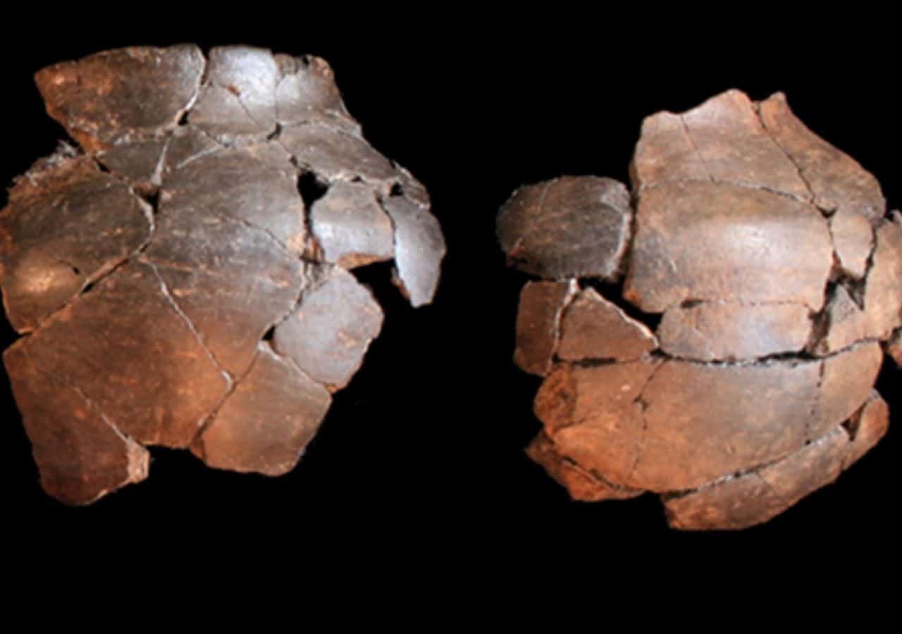 Late Bronze Age pottery recovered from Las Minillas, Spain