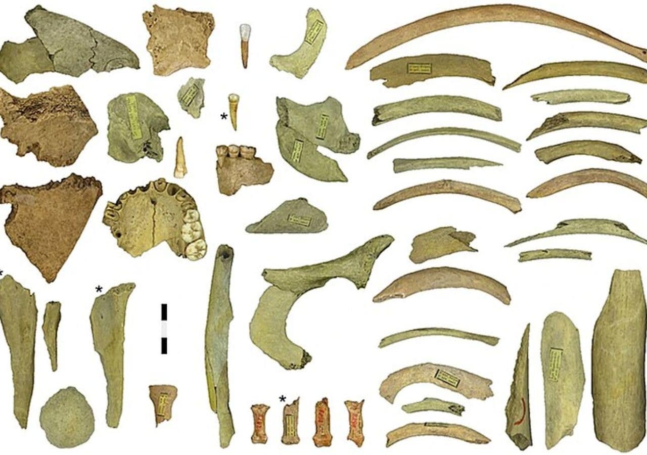 Neanderthal skeletal fragments recovered from the Troisième Caverne of Goyet in Belgium