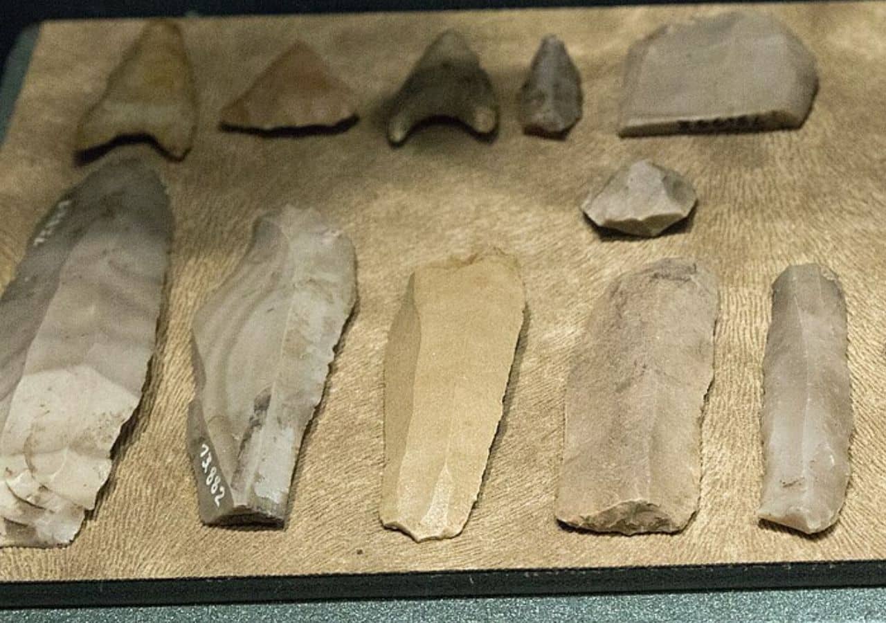 Neolithic flint blades and chipped stone tools, illustrating the types of lithic technology studied at prehistoric settlements